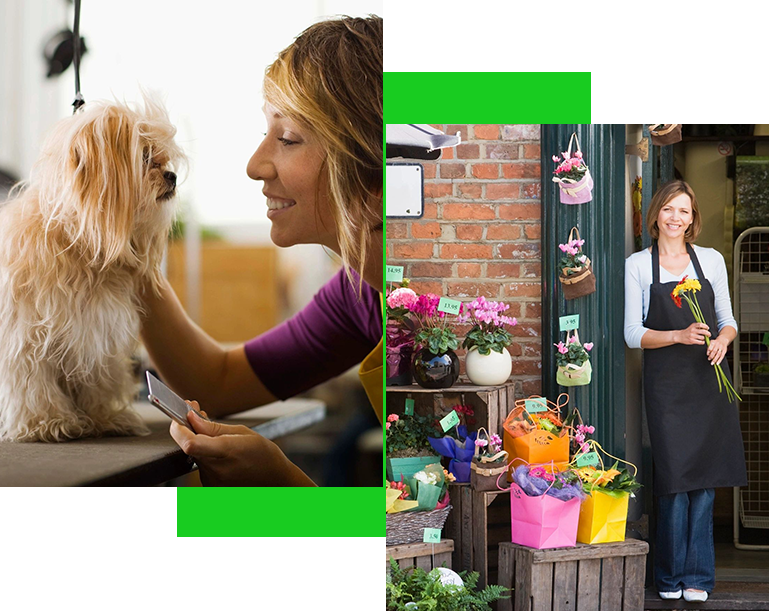 A collage of photos with two women and one woman is grooming her dog.